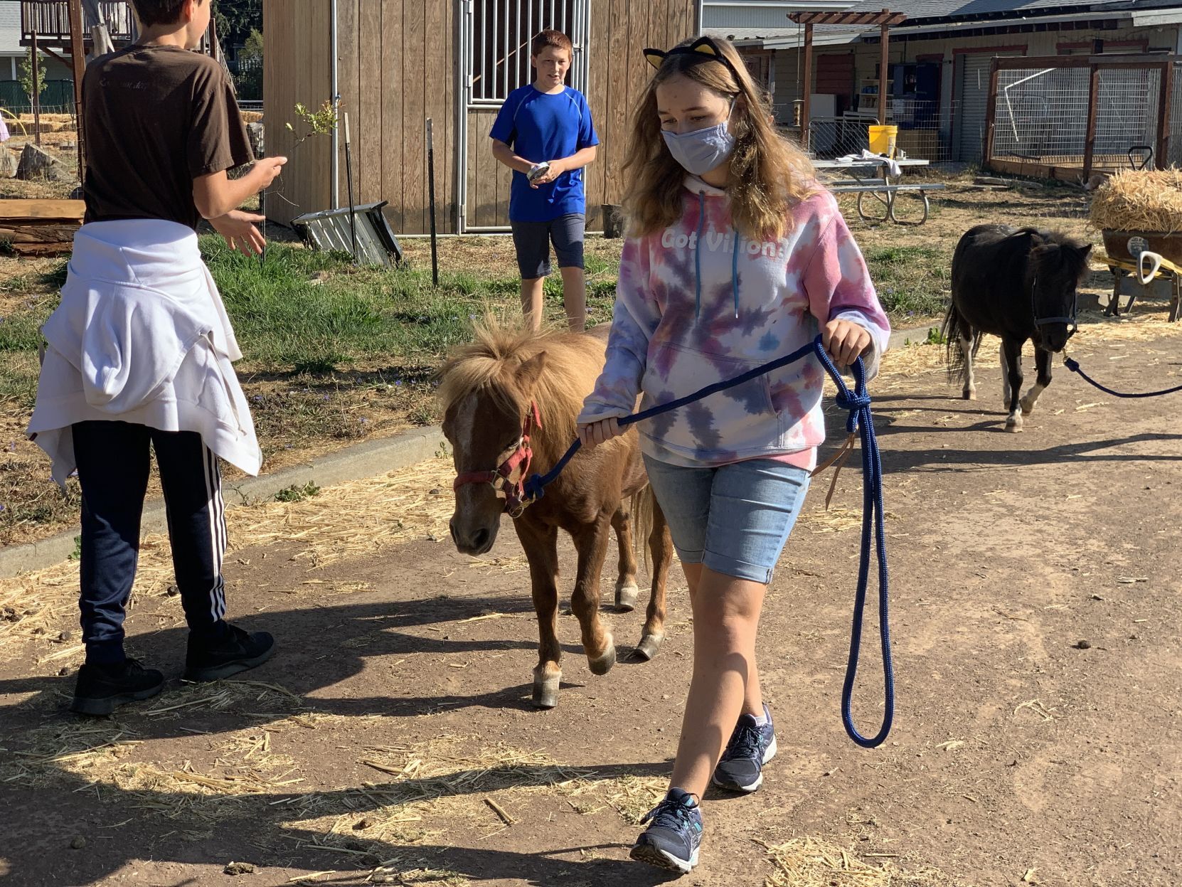 Napa Christian school farm